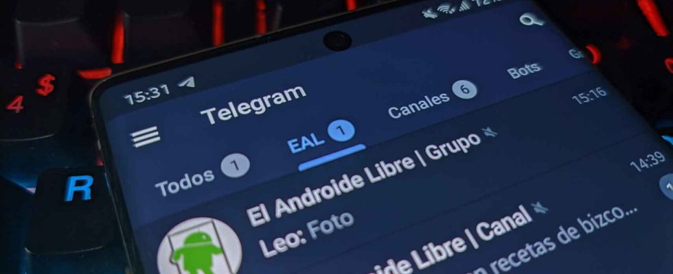 Le juge Pedraz ordonne le blocage de Telegram suite a