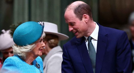 Le prince William reapparait souriant avec Camilla apres la photo