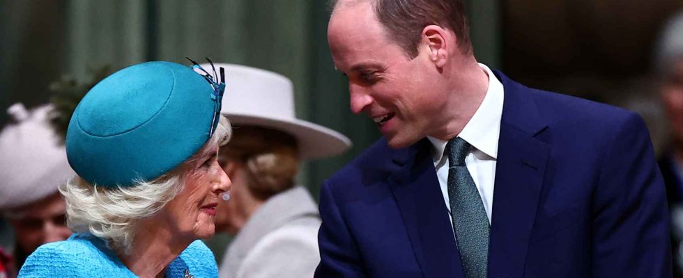 Le prince William reapparait souriant avec Camilla apres la photo