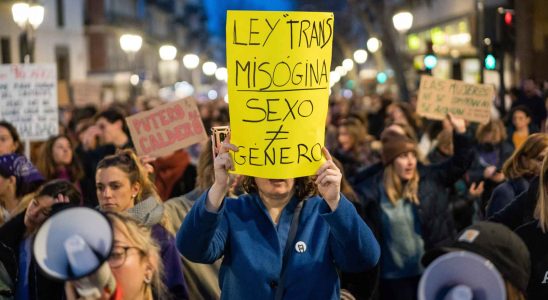 Pourquoi certaines feministes sopposent elles a la loi trans