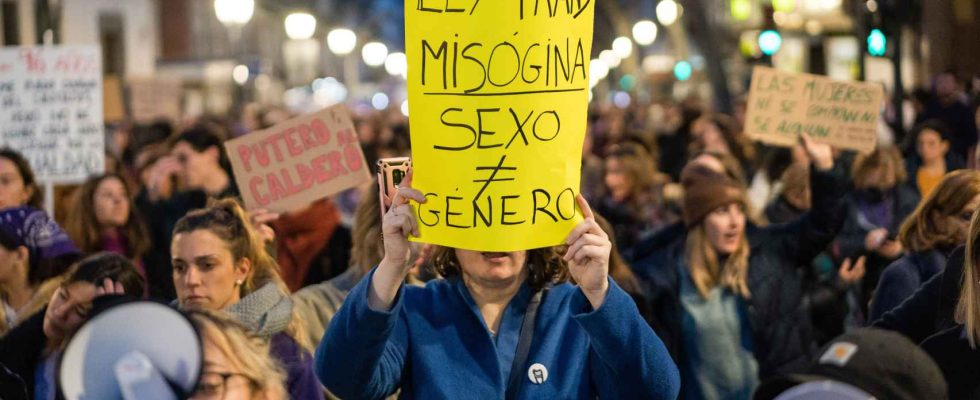 Pourquoi certaines feministes sopposent elles a la loi trans