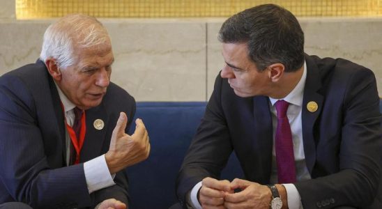 Sanchez cherche un remplacant a Borrell pour les elections europeennes