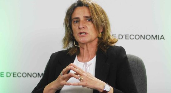 Teresa Ribera refuse de diriger la liste du PSOE pour