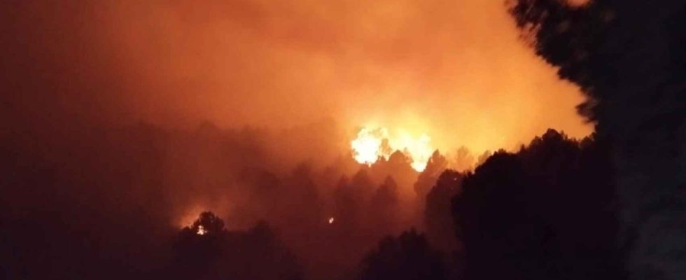 Un incendie de foret oblige la population de Toga Castellon