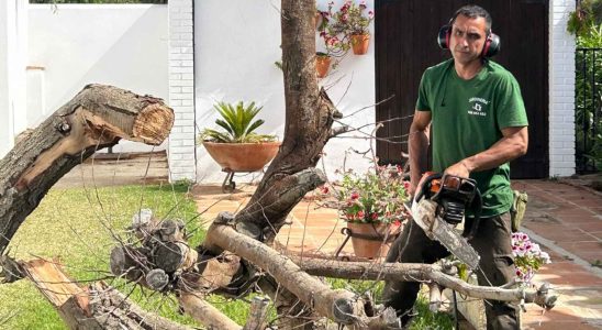Andres Marin jardinier touche par les restrictions deau liees a