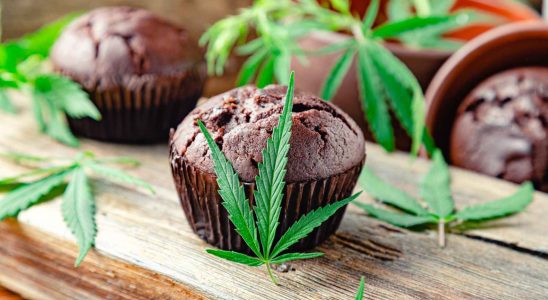 Ce sont ces muffins infuses au cannabis qui ont envoye