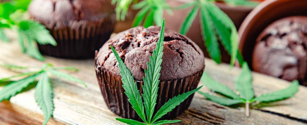 Ce sont ces muffins infuses au cannabis qui ont envoye