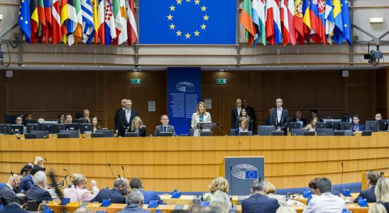 Le Parlement europeen denonce la Commission et le gouvernement espagnol