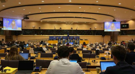 Le Parlement europeen revisera la loi damnistie et ecoutera la