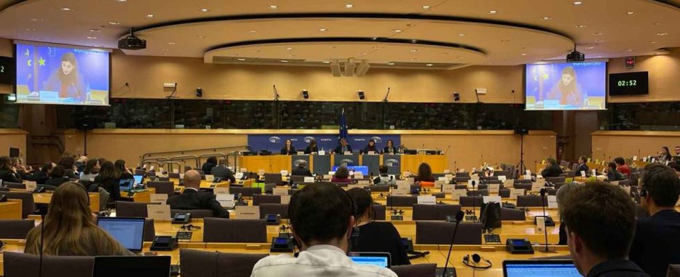 Le Parlement europeen revisera la loi damnistie et ecoutera la