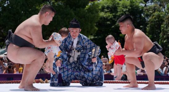 Le festival fou ou les lutteurs de sumo terrorisent les