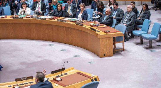 Les Etats Unis opposent leur veto au Conseil de securite a