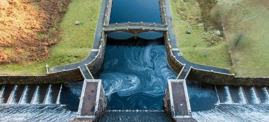 Les centrales hydroelectriques pieges mortels pour le saumon