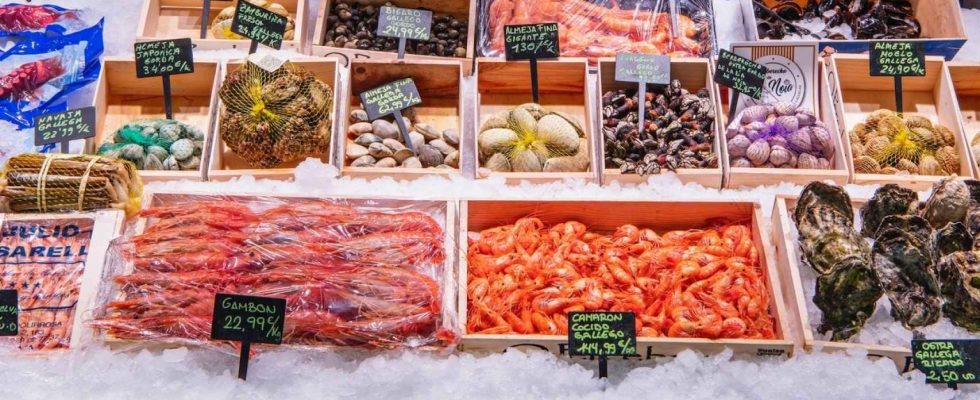Les fruits de mer reputes innocents en Espagne que les