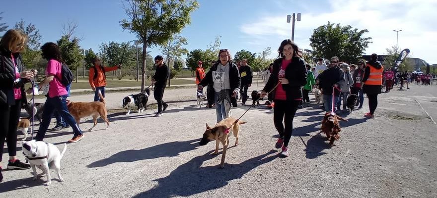 Plus de 1 800 personnes et 850 chiens participent a