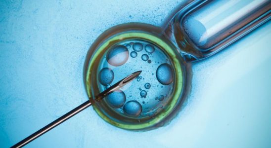 Preservation de la fertilite en cas de detection dun cancer
