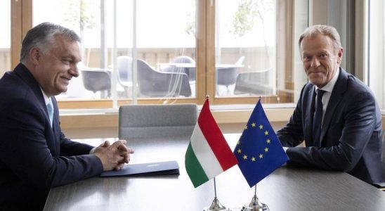 Tusk rejoint Orban pour rejeter le pacte migratoire approuve par