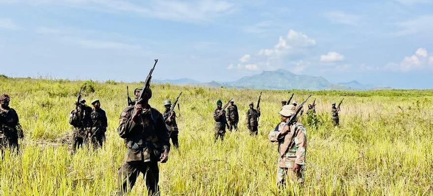 Une attaque armee en RDC fait quatre morts parmi les