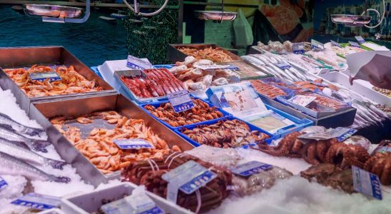 les deux crustaces populaires en Espagne contre lesquels les experts
