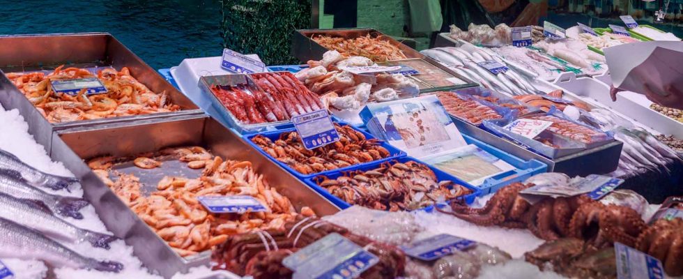 les deux crustaces populaires en Espagne contre lesquels les experts
