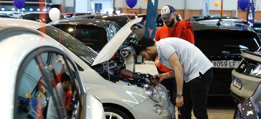 En images 2 000 vehicules attendent les acheteurs au