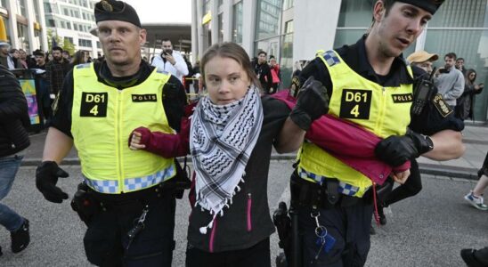 Greta Thunberg arretee lors de manifestations contre la presence dIsrael