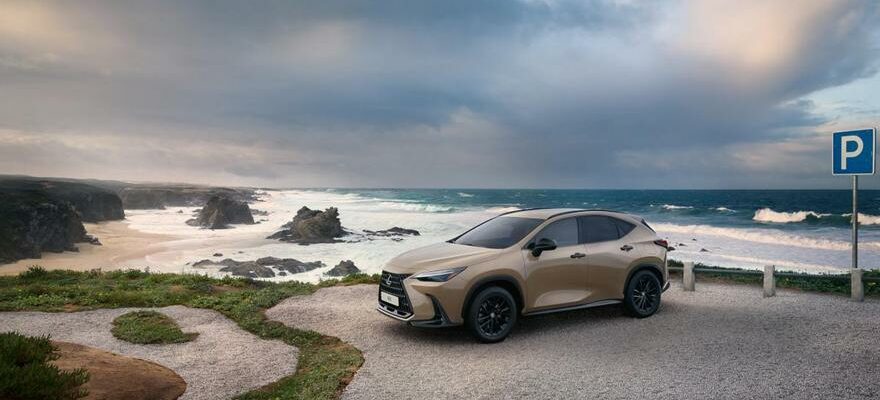 La version NX Overtrail du Lexus NX vous permet de