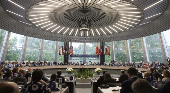 Le Conseil de lEurope approuve le premier traite international sur