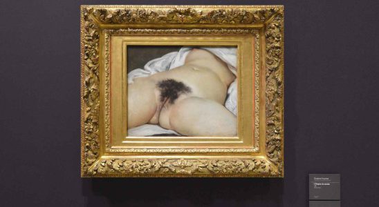 Le tableau de Courbet LOrigine du monde vandalise en France