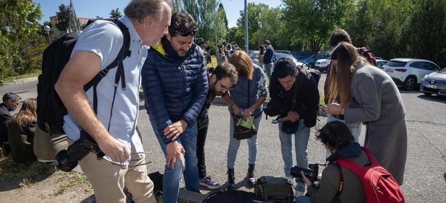 Les associations de journalistes demandent de mettre fin a