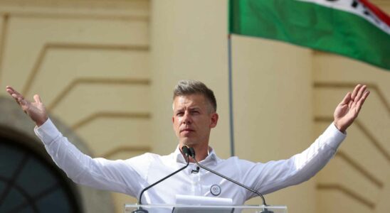 Peter Magyar la nouvelle sensation de la politique hongroise qui