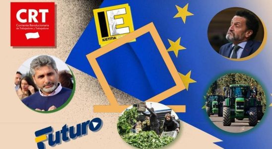 les listes les plus singulieres pour les elections europeennes