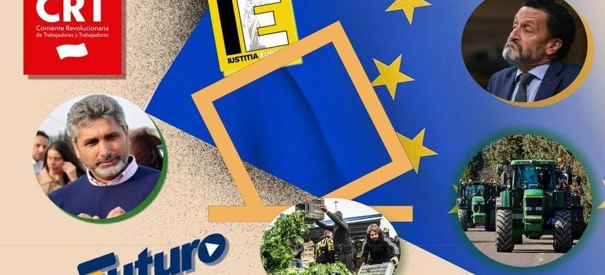 les listes les plus singulieres pour les elections europeennes