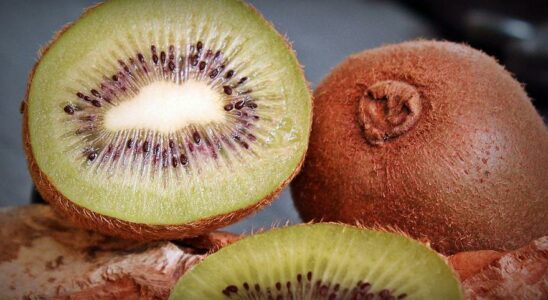 Adieu au kiwi voici les raisons pour lesquelles il