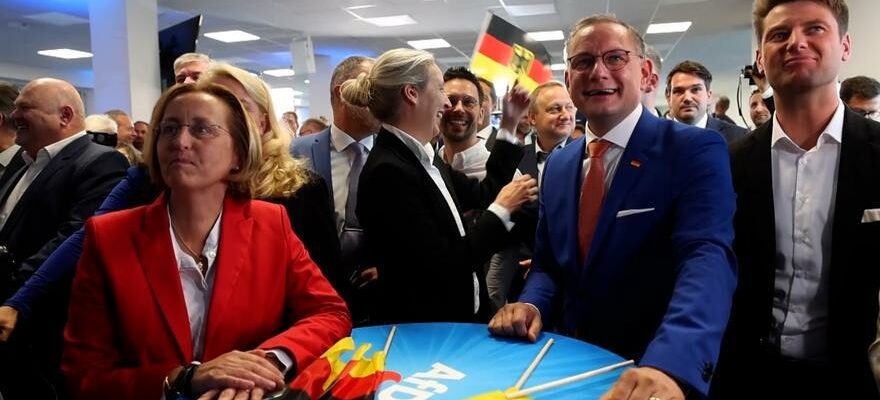 ELECTIONS EUROPEENNES ULTRA DROITE ALLEMAGNE Ambiance au siege du parti