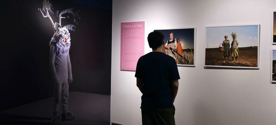 Expositions a Saragosse Lucia Herrero expose son Anthropologie