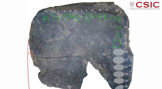Ils trouvent un alphabet prehistorique rare