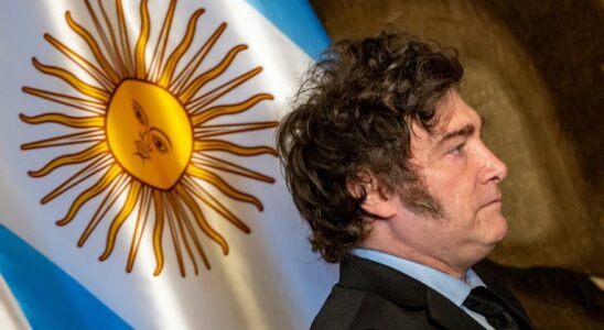 Le Congres argentin approuve la loi avec laquelle Milei demantelera