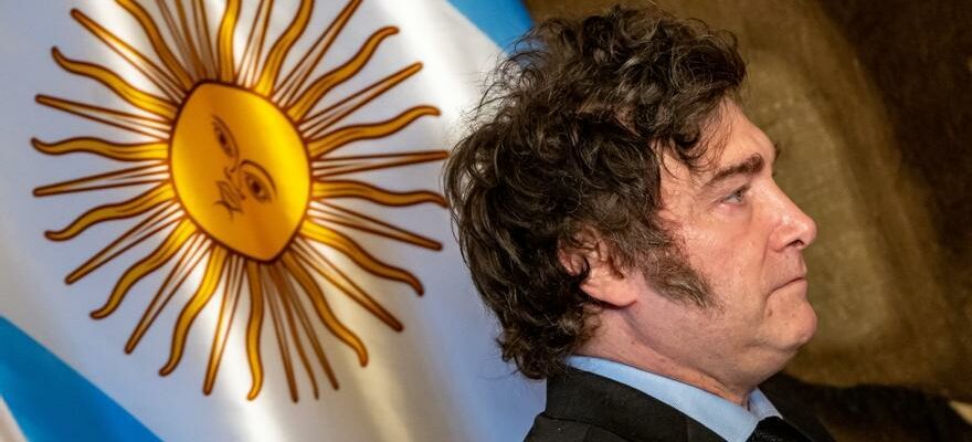 Le Congres argentin approuve la loi avec laquelle Milei demantelera