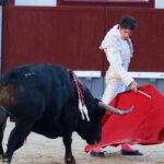Le PSOE soutient le retrait du Prix National taurin en