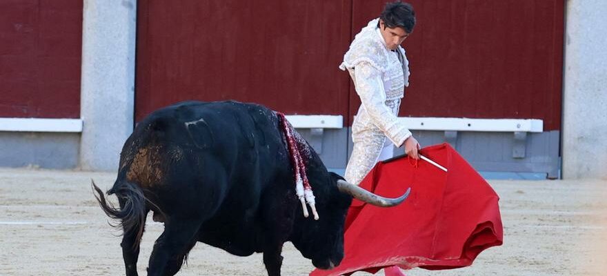 Le PSOE soutient le retrait du Prix National taurin en