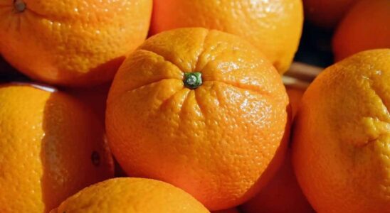 Le fruit peu connu en Espagne avec plus de vitamine