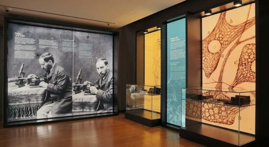 Le gouvernement approuve la creation du Musee Cajal a Madrid