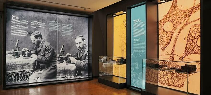 Le gouvernement approuve la creation du Musee Cajal a Madrid