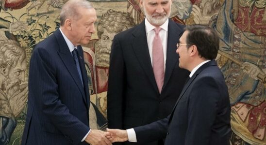 Le gouvernement se vante que lautocrate Erdogan sidentifie a la