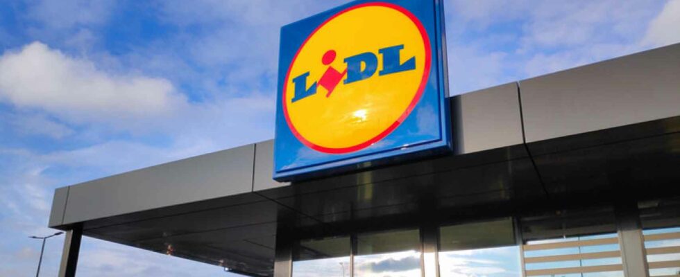 Linvention de Lidl pour seulement 25 euros qui refroidit les