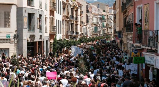 Malaga descend dans la rue dans une mobilisation sans precedent