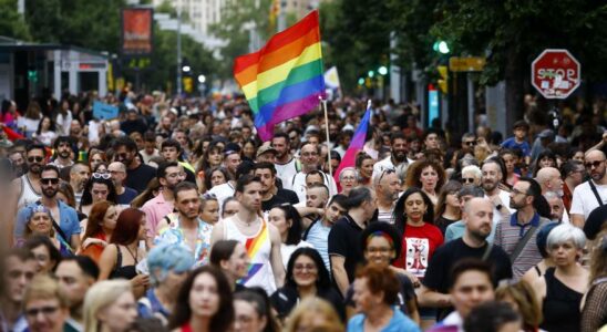 Manifestation LGBTI Larc en ciel et le drapeau trans defilent fierement