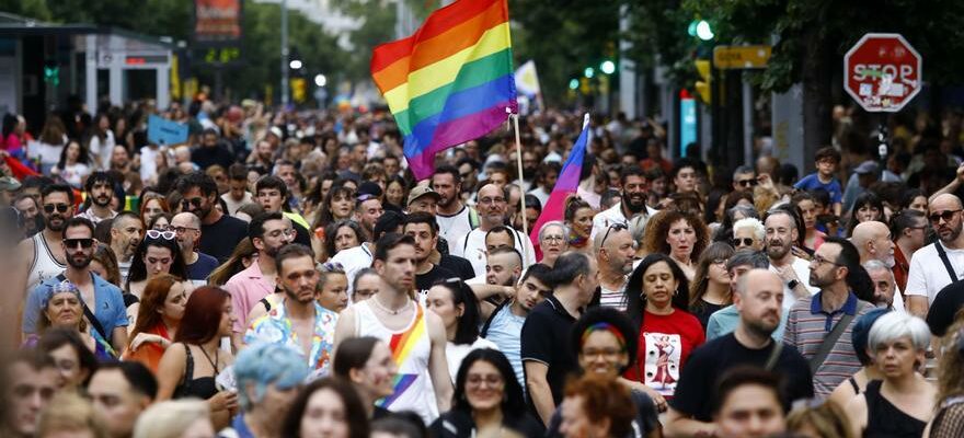 Manifestation LGBTI Larc en ciel et le drapeau trans defilent fierement