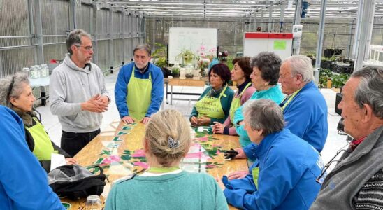 Oscar soigne vos plantes dans son hopital pepiniere de